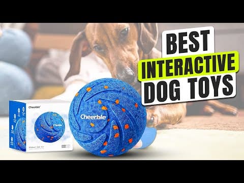 3 BEST Interactive Dog Toys