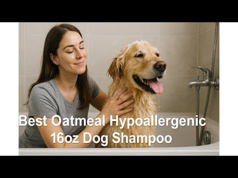 🛁 Bark2Basics Oatmeal Dog Shampoo | Best Oatmeal Hypoallergenic 16OZ Dog Shampoo 🛁
