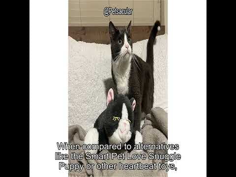 YouTube Video 2RuBJb3k1qo
