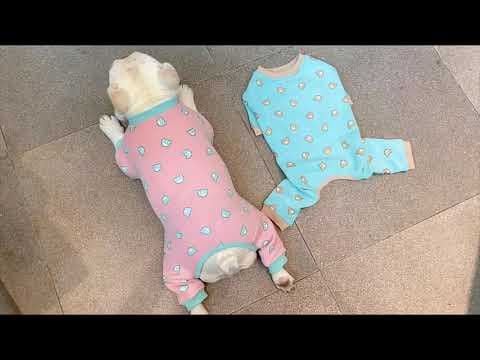 YouTube Video IyWbny4jEGM
