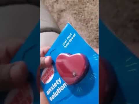 YouTube Video Lb0re2gvvXQ