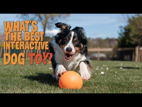 YouTube Video NPsWz_ZgGHA