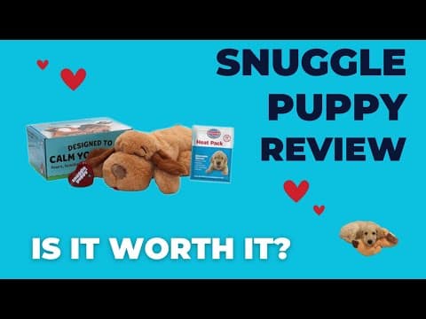 YouTube Video NzNygjWcMFk