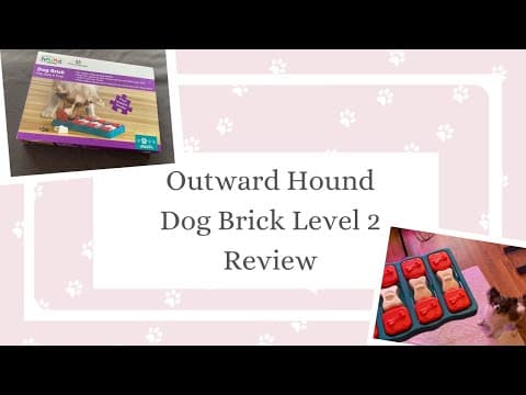 YouTube Video Omgdx5ErNW0