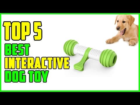 YouTube Video StOYEOGalNk
