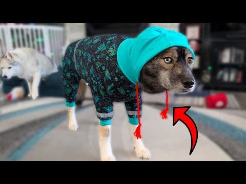 YouTube Video chsAqrZKWGo