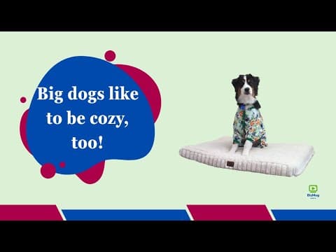 YouTube Video mTuVH1geR9o