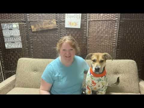 YouTube Video q1ra8KJtD8s