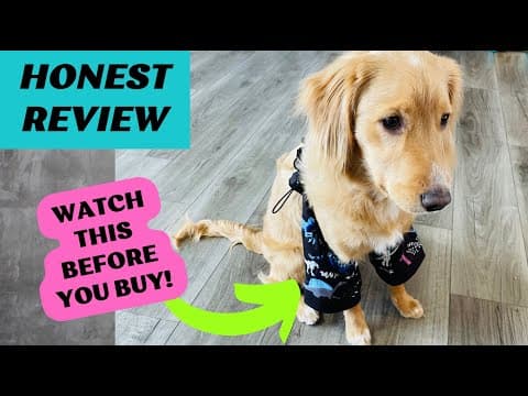 YouTube Video rhKKCIllnYg